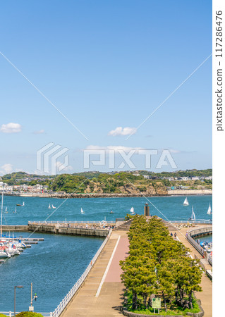 [Kanagawa Prefecture] Shonan sea and blue sky 117286476