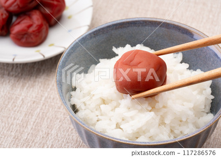 梅子和米飯 117286576