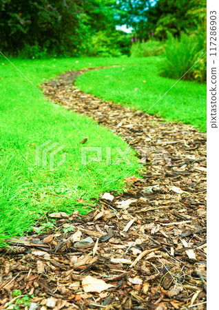 A path strewn with wood chips A path strewn with wood chips 117286903