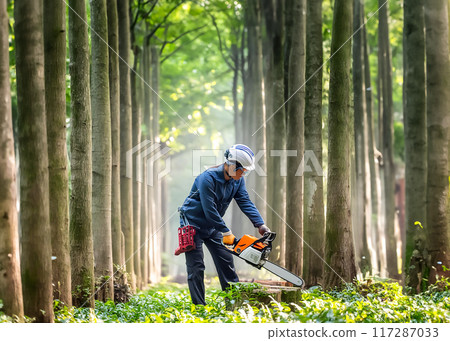 Image of a man cutting wood with a chainsaw 117287033