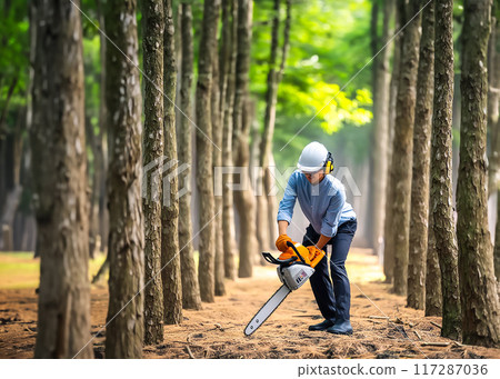 Image of a man cutting wood with a chainsaw 117287036
