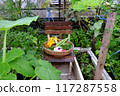 A vibrant rooftop garden,  basket filled with vegetables like tomatoes, leeks, leafy greens, homegrown healthy food just harvest 117287558