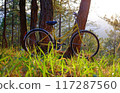 A yellow bicycle  among  pine trees,  warm sunlight, creating a serene peaceful rides and embracing nature's tranquility 117287560