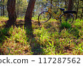 A yellow bicycle  among  pine trees,  warm sunlight, creating a serene peaceful rides and embracing nature's tranquility 117287562