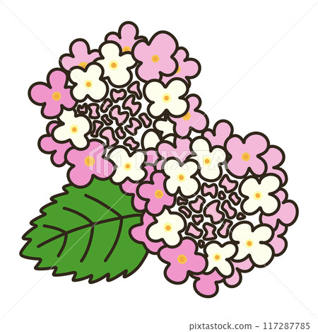 馬纓丹 馬纓丹 117287785