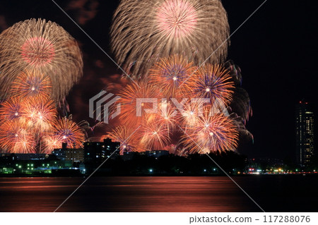 Scenery of the fireworks display at Lake Biwa Scenery of the fireworks display at Lake Biwa 117288076