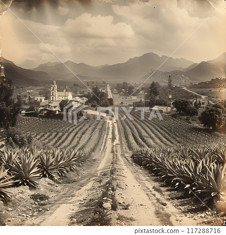 Old photo of Traditional Agave Farming and Tequila Production in Scenic Jalisco Countryside Old photo of Traditional Agave Farming and Tequila Production in Scenic Jalisco Countryside 117288716