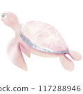 Turtles are swimming to land 117288946