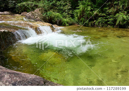[Chiiwa Gorge] A mountain stream with crystal clear water all the way to the bottom 117289199