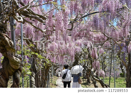 廣島縣世羅町世羅農場的富士山 117289553