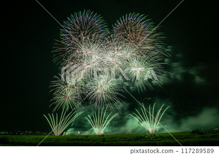 新明煙花 新明煙花 117289589