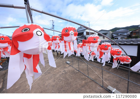 柳井金魚元宵節2462 117290080