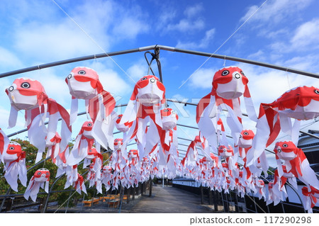 Yanai Goldfish Lantern Festival 2415 117290298
