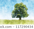 Image of a large tree standing in a grassland 117290434