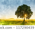 Image of a large tree standing in a grassland at sunrise 117290439