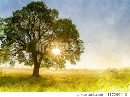 Image of a large tree standing in a grassland at sunrise 117290440