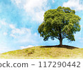 Image of a large tree on a hill 117290442