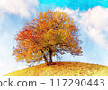Image of a large tree in a grassland with autumn leaves 117290443