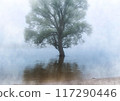 Image of a large tree by the water 117290446