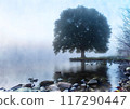 Image of a large tree by the water 117290447