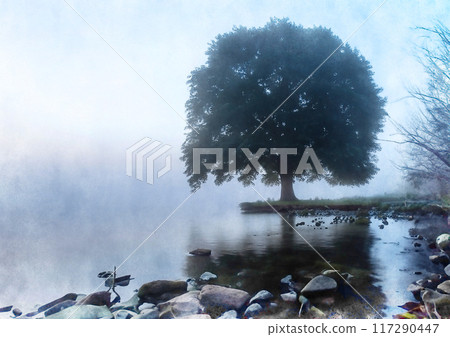 Image of a large tree by the water Image of a large tree by the water 117290447