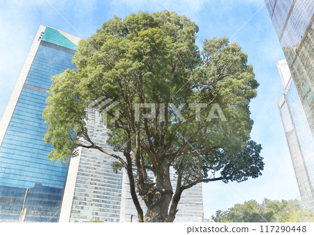 Image of the city center and a large tree 117290448