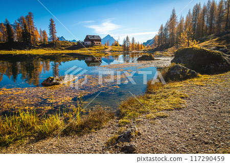 Colorful larches on the lake shore, lake Federa, Dolomites 117290459