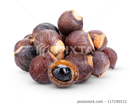 Soap nut tree isolated on white Soap nut tree isolated on white 117290512