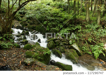 Tottori four seasons walk autumn Amedaki Tottori four seasons walk autumn Amedaki 117290747