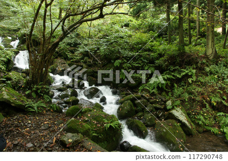 Tottori four seasons walk autumn Amedaki Tottori four seasons walk autumn Amedaki 117290748