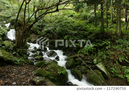 Tottori four seasons walk autumn Amedaki Tottori four seasons walk autumn Amedaki 117290750