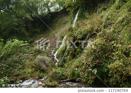 Tottori four seasons walk autumn Amedaki 117290769