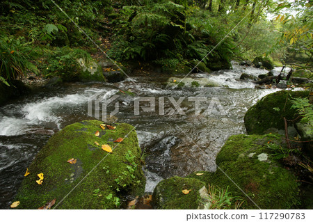 Tottori four seasons walk autumn Amedaki Tottori four seasons walk autumn Amedaki 117290783