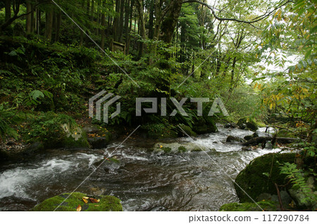 Tottori four seasons walk autumn Amedaki Tottori four seasons walk autumn Amedaki 117290784