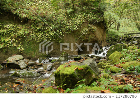 Tottori four seasons walk autumn Amedaki Tottori four seasons walk autumn Amedaki 117290790