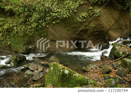 Tottori four seasons walk autumn Amedaki Tottori four seasons walk autumn Amedaki 117290794
