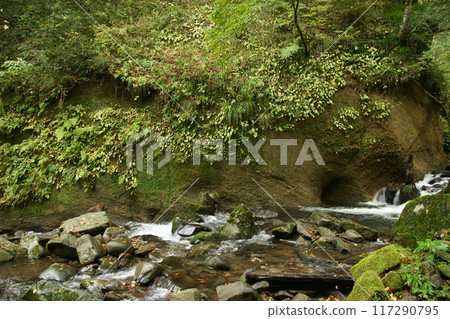 Tottori four seasons walk autumn Amedaki Tottori four seasons walk autumn Amedaki 117290795