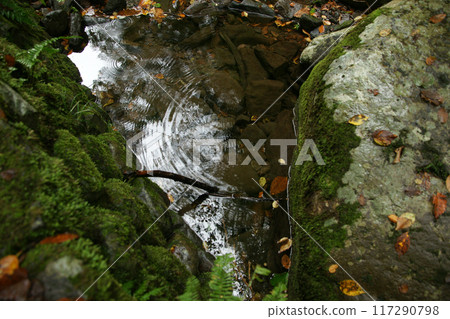 Tottori four seasons walk autumn Amedaki Tottori four seasons walk autumn Amedaki 117290798
