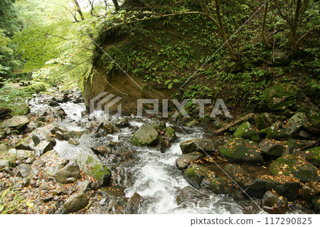Tottori four seasons walk autumn Amedaki Tottori four seasons walk autumn Amedaki 117290825