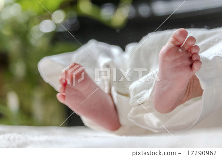 寶寶的腳 117290962