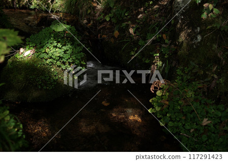 走四季秋天Tashima Kogen種植園 走四季秋天Tashima Kogen種植園 117291423