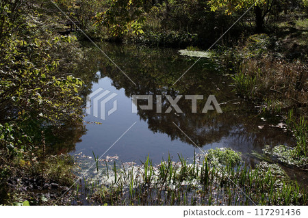 Walking the Four Seasons Fall Tashima Kogen Plantation Garden 117291436