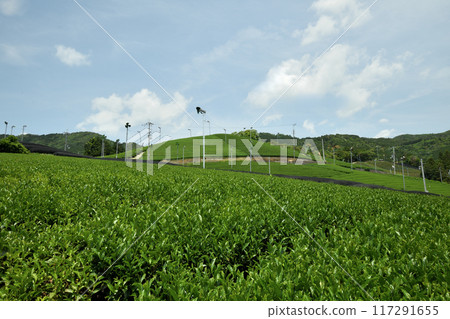 和束町的茶園[京都府相樂郡和束町] 117291655