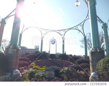 相模原麻美溝公園花鐘 117291878