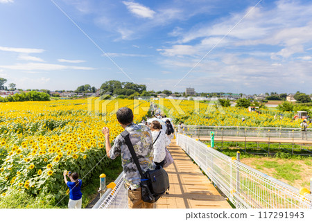 Kiyose向日葵節 Kiyose向日葵節 117291943