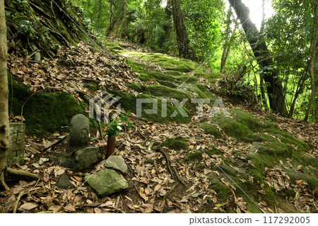Kumano Kodo (Fujishirozaka and 17-cho Stone Jizo) [Kainan City, Wakayama Prefecture] 117292005