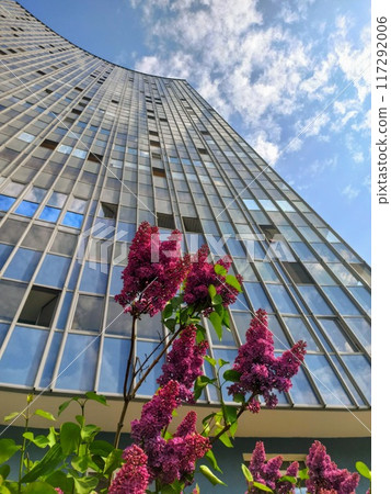 building, skyscraper, blue sky 117292006