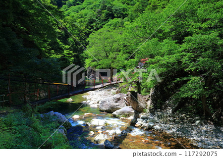 [廣島縣] 萬綠三段峽谷（黑淵） 117292075