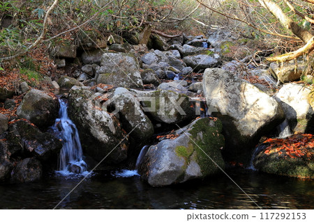 Autumn leaves at Urabandai Dekodaira Marsh 117292153