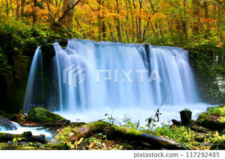 Autumn Oirase Gorge (Towada City, Aomori Prefecture) Autumn Oirase Gorge (Towada City, Aomori Prefecture) 117292485